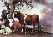 POTTER, Paulus the bull oil painting picture wholesale